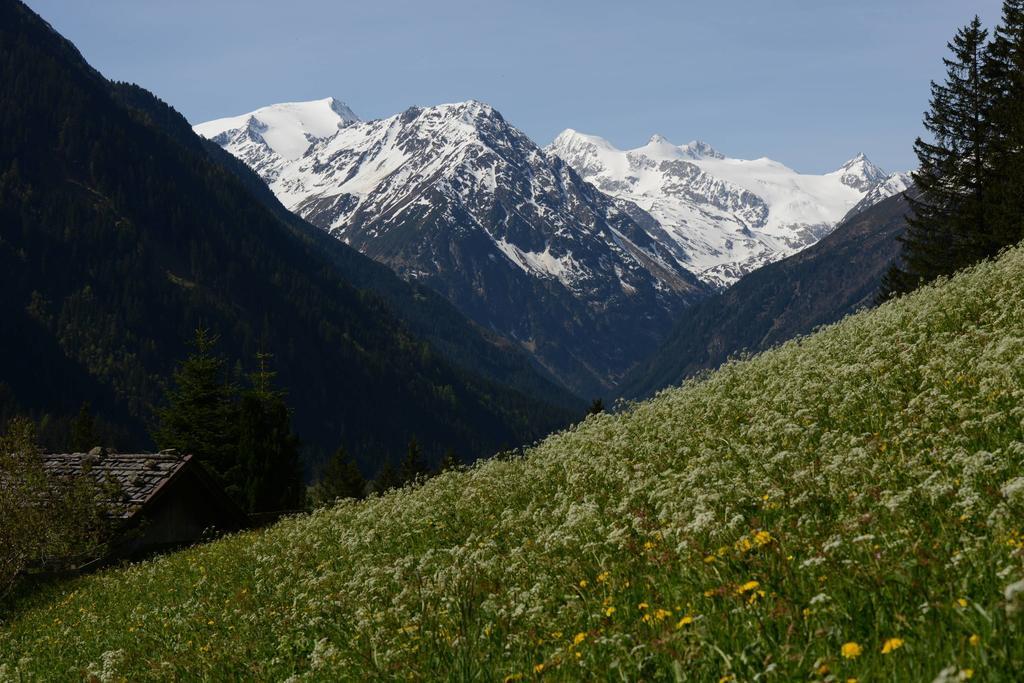 Pension Tina Neustift im Stubaital Eksteriør bilde