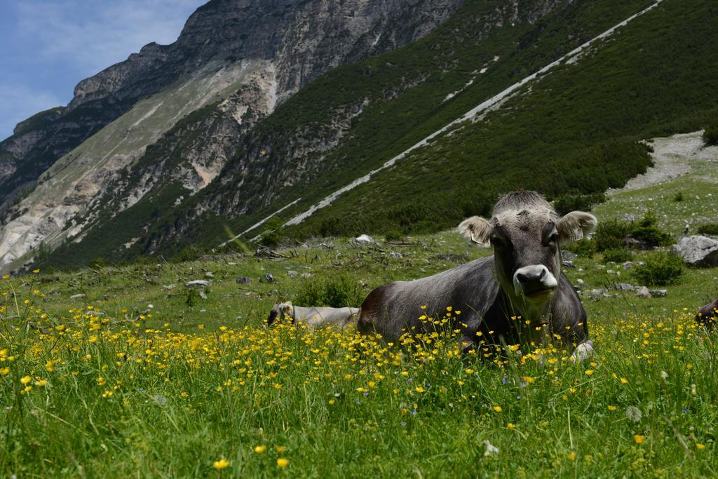 Pension Tina Neustift im Stubaital Eksteriør bilde