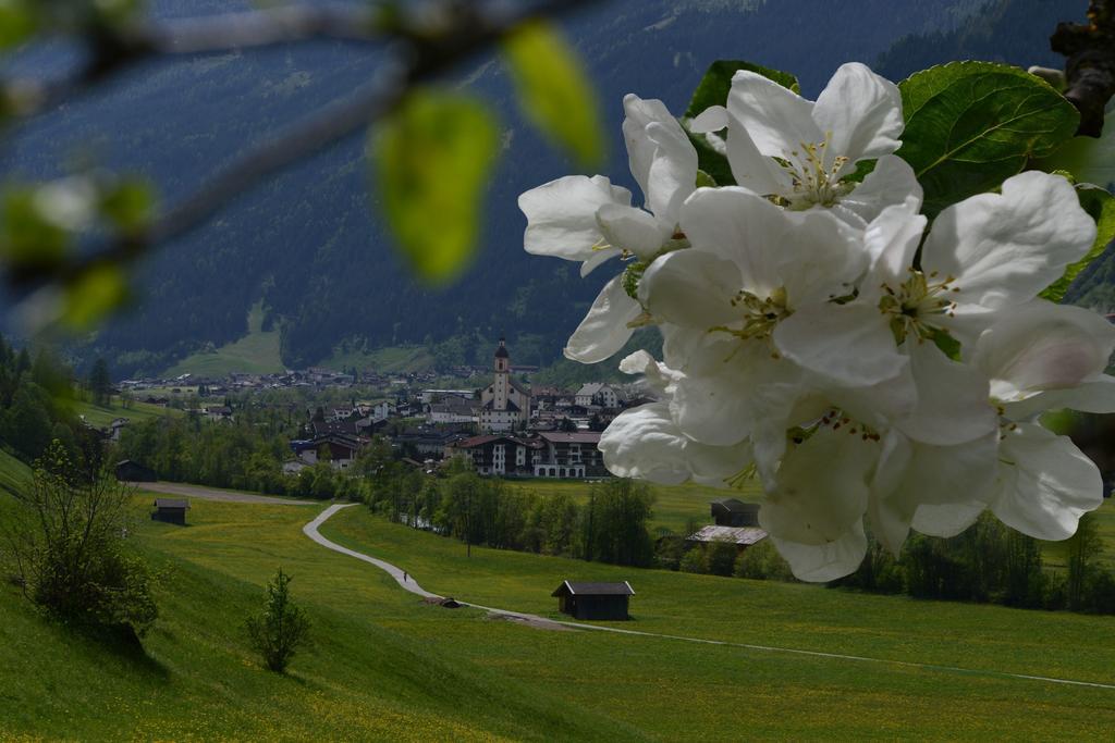 Pension Tina Neustift im Stubaital Eksteriør bilde